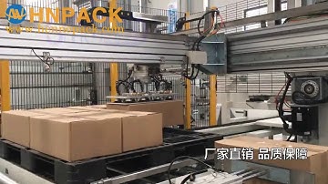 Economical Servo Palletizing