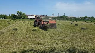 Затюковали второй укос// Корова за пол цены//