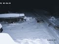 Ujqërit E Shqyejn Qenin Dog Vs Wolf Ujqërit E Shqyejn Qenin Dog Vs Wolf