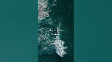 سورة النحل القارئ #عبدالرحمن_مسعد #quran #abdelrahman_mesad #قرآن #القرآن #قرآن_كريم