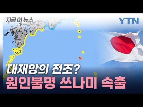 &quot;이상한 일이 일어나고 있다&quot;...日 곳곳서 &#39;기현상&#39; [지금이뉴스] / YTN