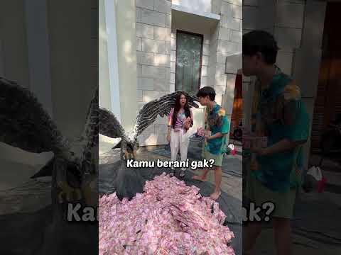 Video: Apa itu elang dan elang?