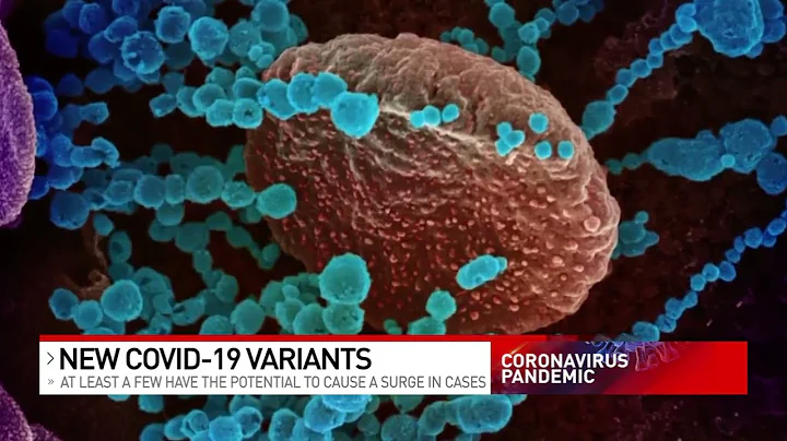 World Health Organization watches new COVID variants in 2023 - DayDayNews