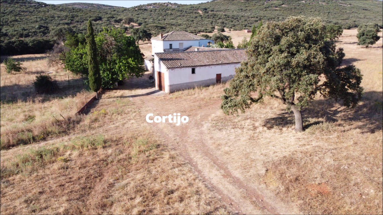 Rusticas Fermu - Finca mixta en Ciudad Real