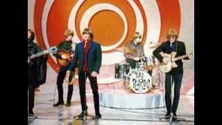 The Byrds lover of the bayou live  Holland 1971