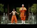 lotus & sword shaolin tai chi kung fu