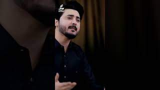 Rasool Ki Jaayi Chali Gai | #alihamza #shortvideo  #noha #alihamzaofficial