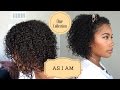 1 Collection Series: Wash n Go As I Am