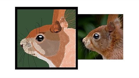 How to draw realistic red squirrel in MS Paint - N Channel Children Special
