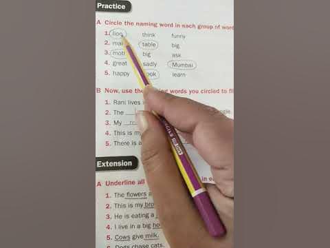 My English Folder | Class-1 Unit-2 Naming Words - YouTube