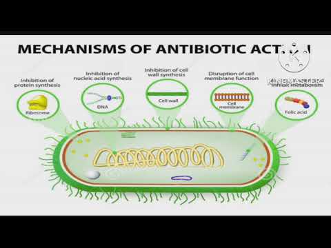 شرح المحاضره ٣ ميكرو