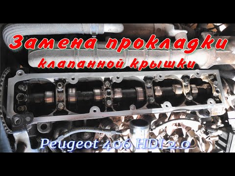 Video: Kako Ukloniti Branik U Peugeotu 406