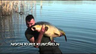 Fang eines 27,5 Kilo Schuppis in Brandenburg