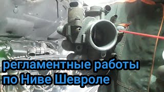 Готовлю Ниву к выезду.Делаю ТО.