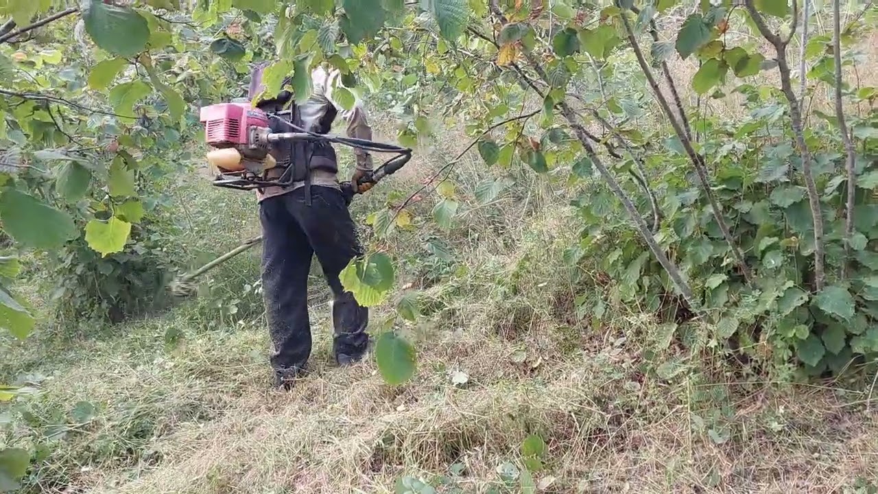 #inebolu #kastamonu #köyişleri #grasstrimmer #kawasaki #village #nature