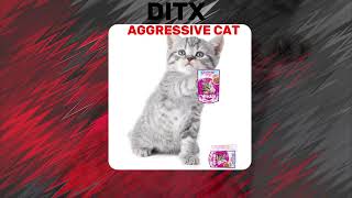 DITX-AGGRESSIVE CAT(премьера официального фонка)