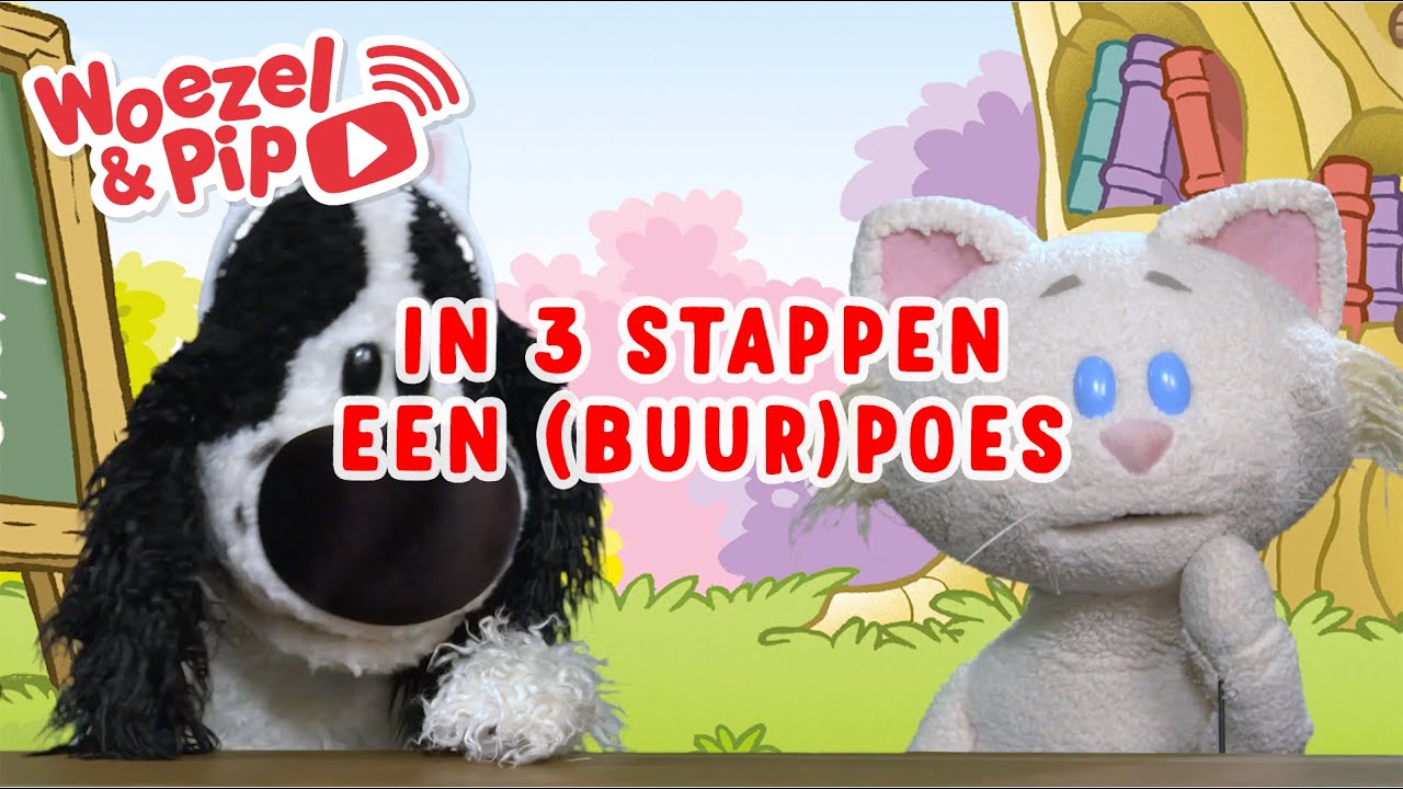 woezel-pip-tv-filmpje-in-3-stappen-een-buur-poes-youtube