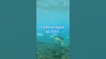 Thumbnail of umbul Ponggok Klaten #remix #dj #love #song #music #jatenggayeng #cover #klatenhits