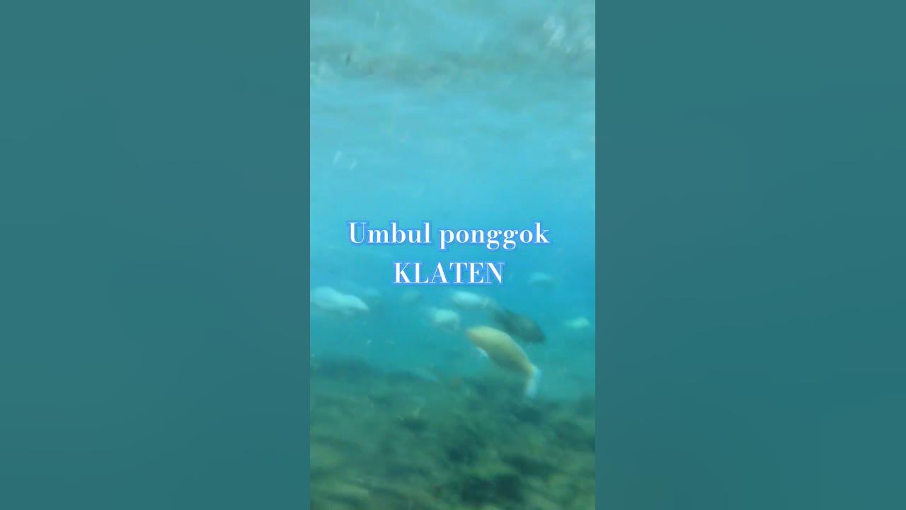 umbul Ponggok Klaten #remix #dj #love #song #music #jatenggayeng #cover #klatenhits