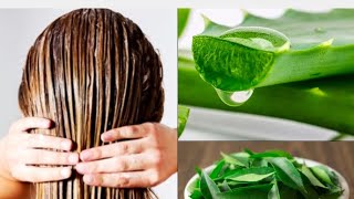 natural hair straightening and hair shiny aloe vera curry leaf oil hair serum??