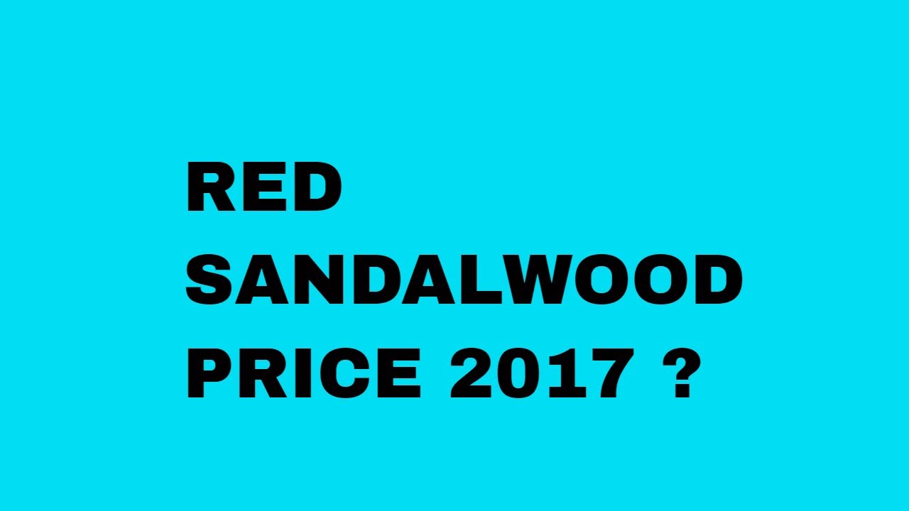 cost of red sandalwood per kg
