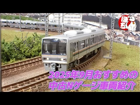 んぬ Amazon.com: 095000-0660 Fuel Injector Compatible for 4HK1