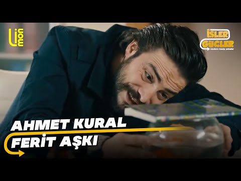Mr. Ahmet &