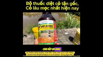 1 Lần Pha Đúng – Cỏ Gấu Cỏ Tranh Sạch Gốc 3 Tháng! Nhà Nông Khỏi Lo.
