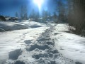 Alpe Bondeno &quot;grazie montagna, grazie di avermi lasciato ancora venire&quot; ciao ... X