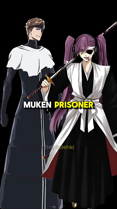The First Muken Prisoner? #bleach #bleachanime #anime
