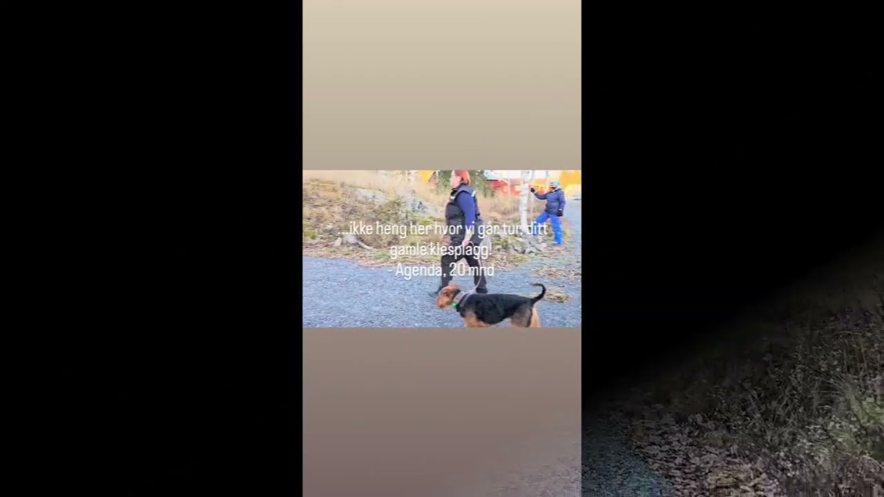 Agenda tester seg; GV - Grunnvurdering Hund Helt på Grensen