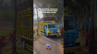 GANTENGNYA TRUK MUAT TEBU? #trukmania #trukmbois #drivermuda #shorts