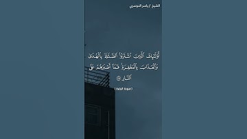 سورة البقرة ( ١٧٤ - ١٧٦) / ياسر الدوسري