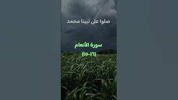 اكتب شي تؤجر عليه ♡︎.#قران_كريم #قران #سورة_الأنعام #اللهم_صلي_على_نبينا_محمد #fyp 