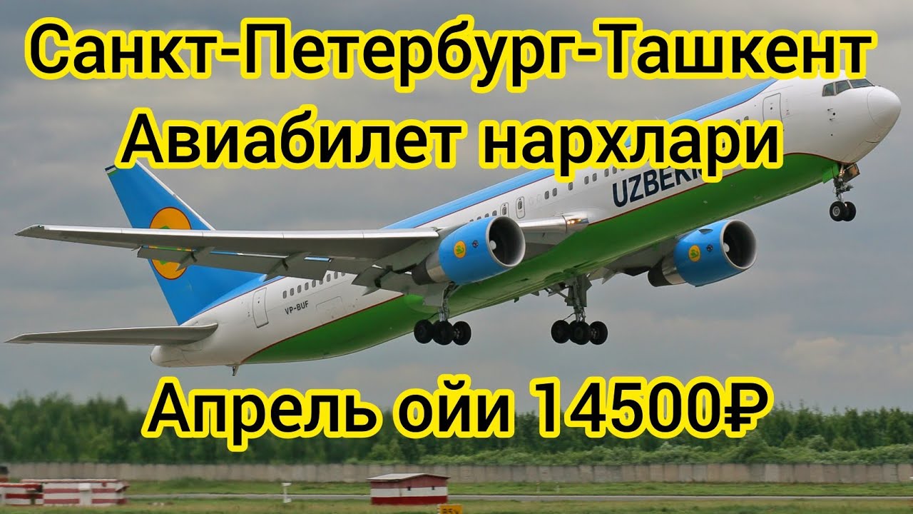 Билеты спб ташкент. Билет НАРХЛАРИ Санкт Петербург Узбекистан. Билет Санкт Петербург Ташкент. Авиабилет Узбекистан. Айвабелит Узбекистон НАРХЛАРИ.