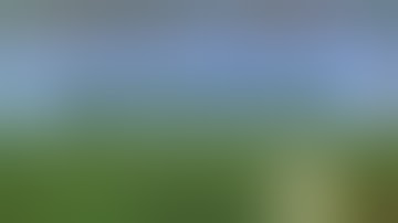 TipThe Scales Mod 1.16.5/1.12.2/1.7.10 & How To Download and Install for Minecraft