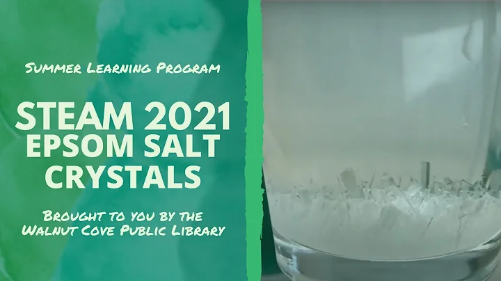 STEAM 2021 - Epsom Salt Crystals