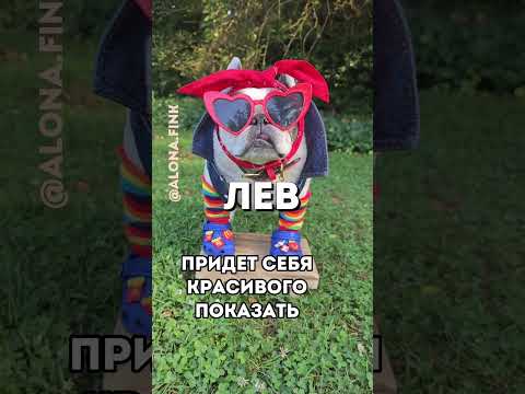 Чего ждать от гостей?! Обязательно посмотрите! 😂 #гороскопкозерог #гороскопводолей