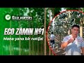     eco zamin 1