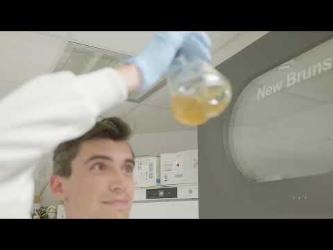 The growth of a culture of Escherichia coli in the Wallace Lab, University of Edinburgh