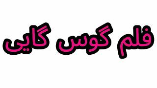 How To Pronounce فلم گوس گایی
