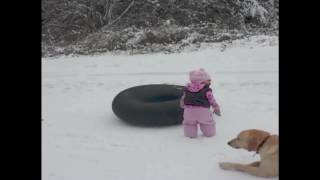 Dog Slides Across the Snow1