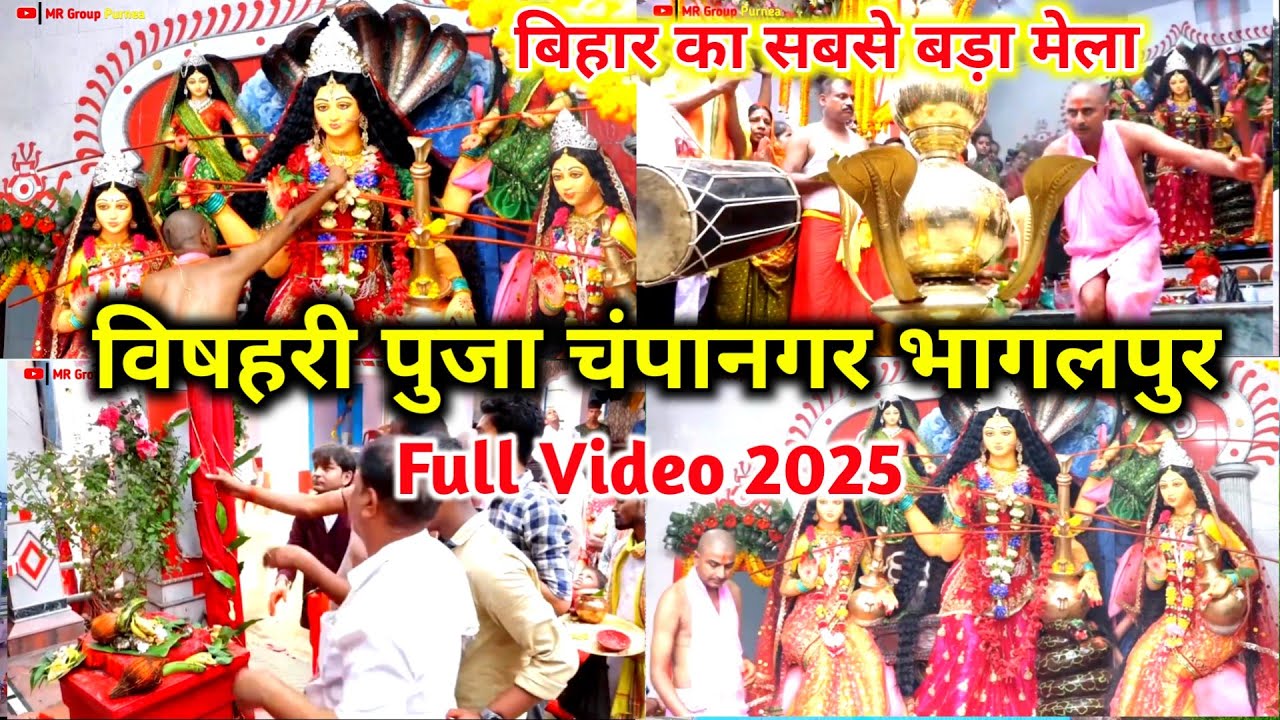 विषहरी पुजा चंपानगर भागलपुर 2025 - bishari puja champanagar bhagalpur|bhagalpur ka bishari Puja