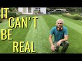 It CANT be REAL or can it // END of summer LAWN renovation ,