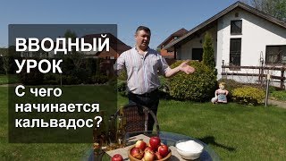 Вводный урок Вводный урок
