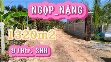 Vườn trái cây, view hồ, gần 1500m2 chỉ 970tr, shr. vĩnh tân- vĩnh cửu. 0368.090.394