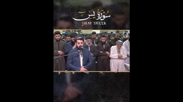 Raad Al kurdi Whatsapp status / رعد الكردي حالات واتس اب / سورة يس رعد بن محمد الكردي