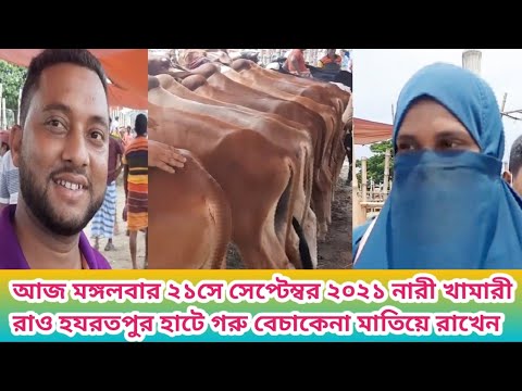 ভিডিও: বড় প্রাণীর জুুনোটিক রোগ - ভেটেরিনারি অনুশীলনের বিপদ - ডেইলি ভেট