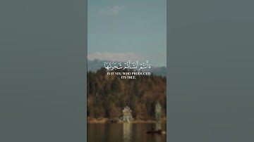 - أفرءيتم النار التي تورون - تلاوة عطرة للقارئ الشيخ ياسر الدوسري