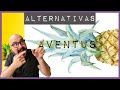 | 8 Alternativas a Aventus que de verdad valen la pena | my scent journey